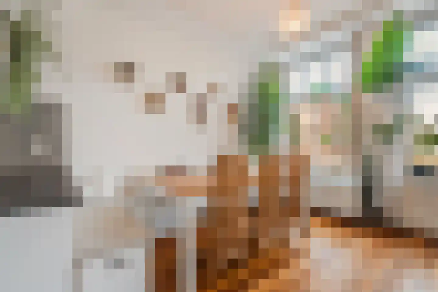 Da Costakade 21 1 Amsterdam thumbnail 15