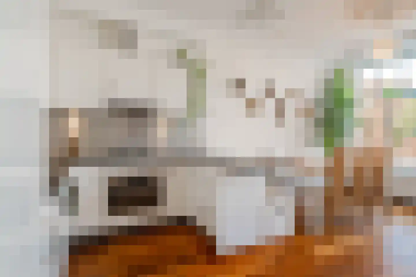 Da Costakade 21 1 Amsterdam thumbnail 17