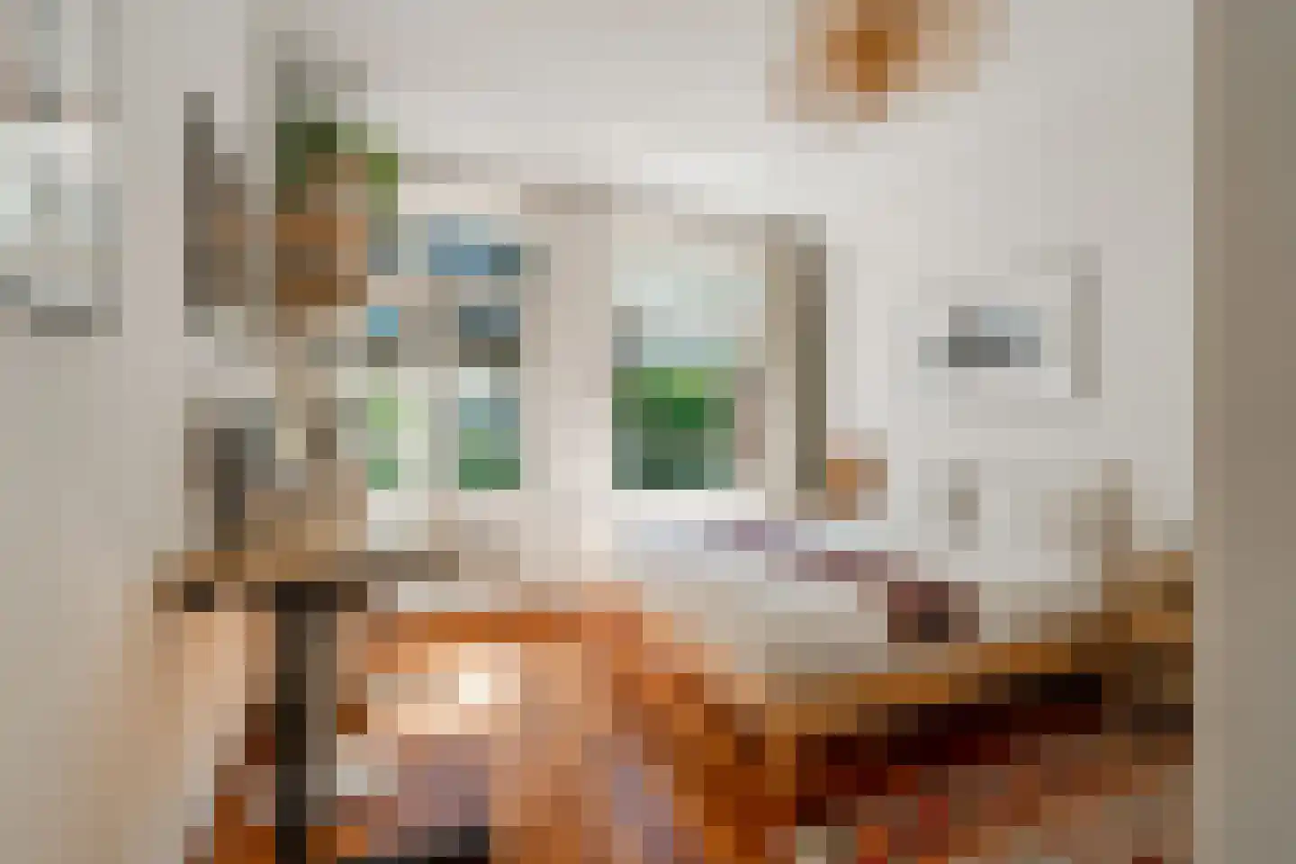 Da Costakade 21 1 Amsterdam thumbnail 23