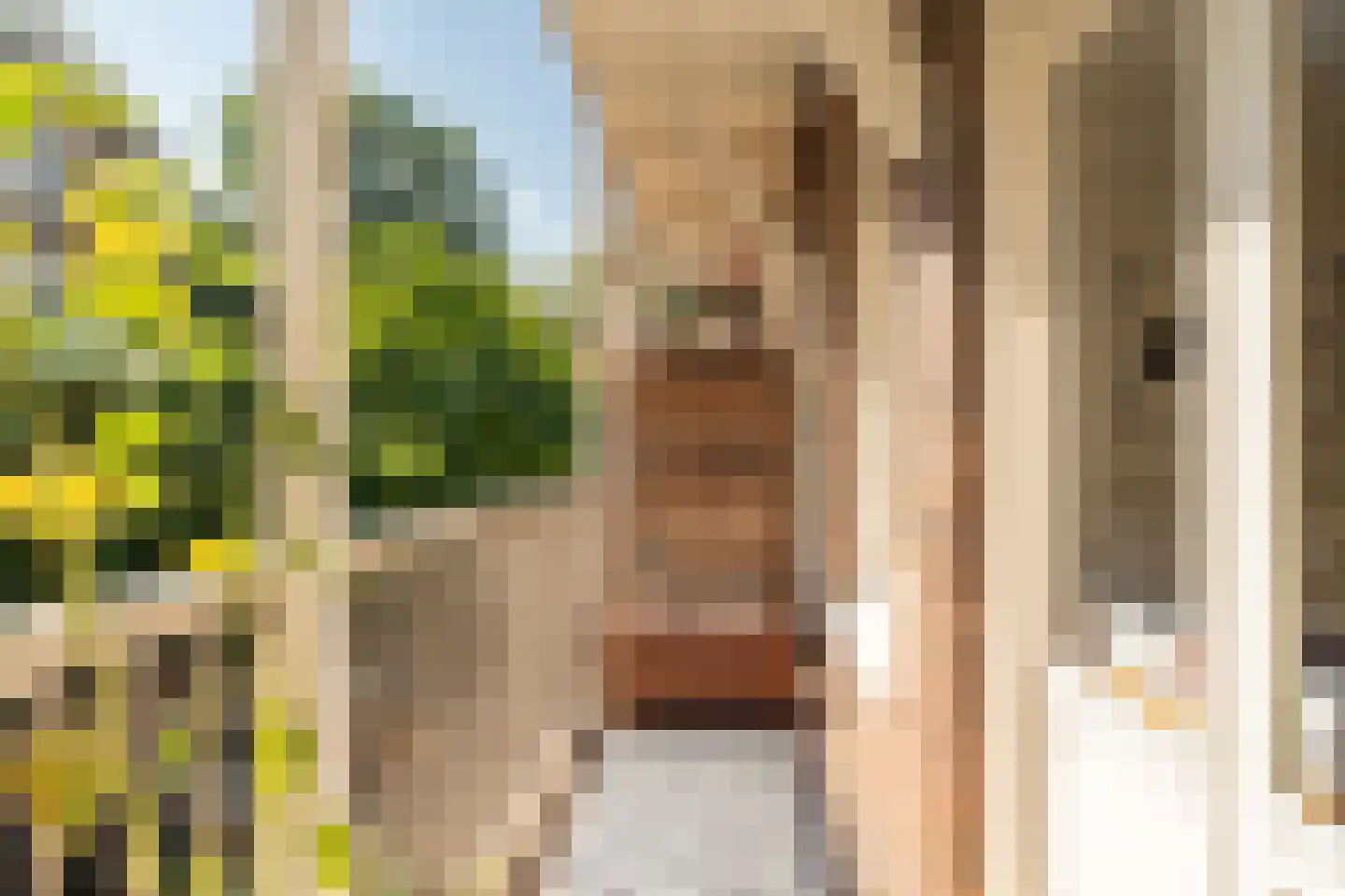 Da Costakade 21 1 Amsterdam thumbnail 27