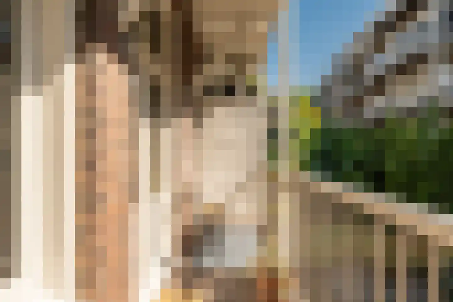 Da Costakade 21 1 Amsterdam thumbnail 28
