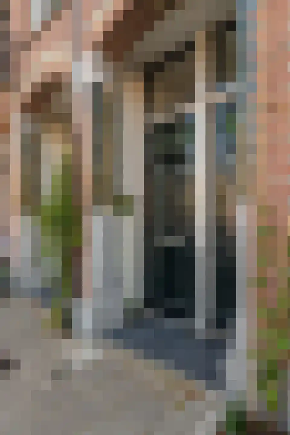Da Costakade 21 1 Amsterdam thumbnail 35