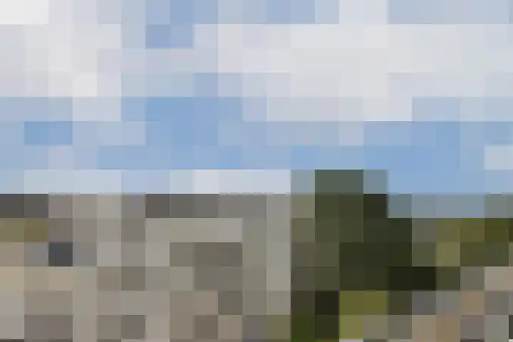 Da Costakade 25 4 Amsterdam thumbnail 23
