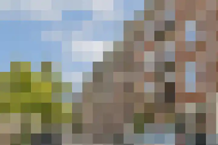 Da Costakade 25 4 Amsterdam thumbnail 25