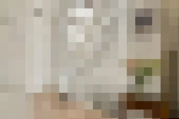 Da Costakade 25 4 Amsterdam thumbnail 5