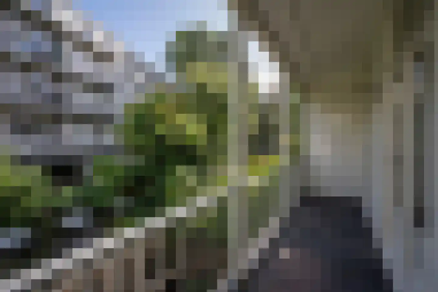 Da Costakade 29 1 Amsterdam thumbnail 14