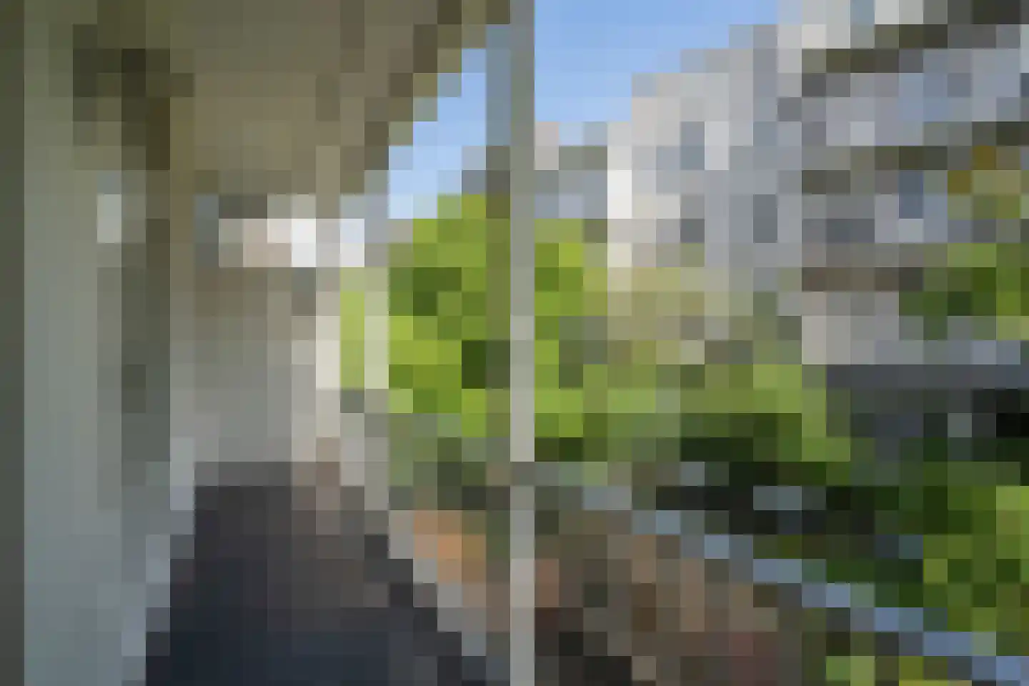 Da Costakade 29 1 Amsterdam thumbnail 15