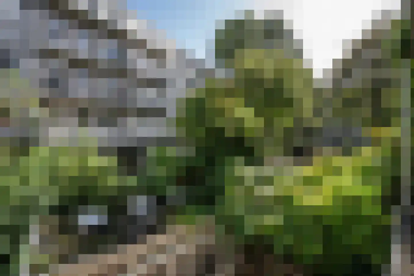 Da Costakade 29 1 Amsterdam thumbnail 17