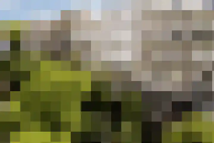 Da Costakade 29 3 Amsterdam thumbnail 20