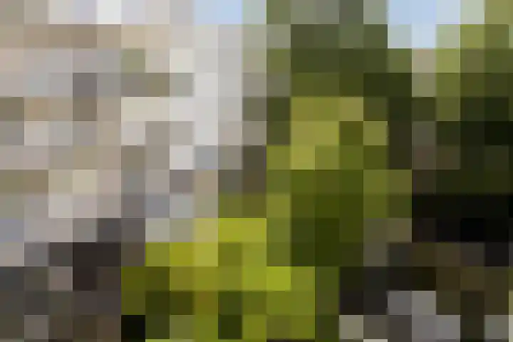 Da Costakade 29 3 Amsterdam thumbnail 21