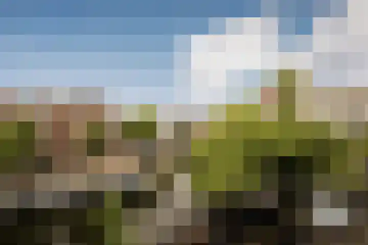 Da Costakade 29 3 Amsterdam thumbnail 6