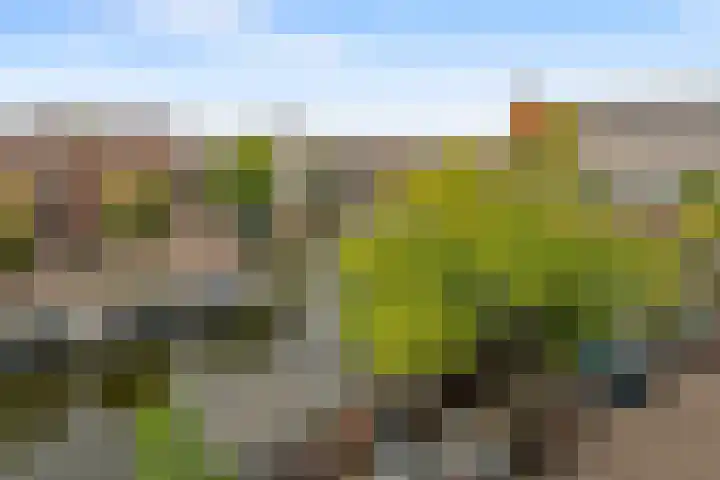 Da Costakade 29 4 Amsterdam thumbnail 12