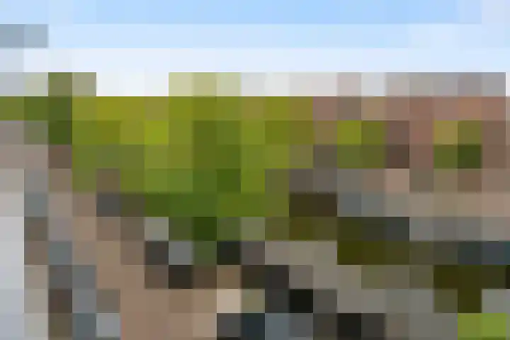 Da Costakade 29 4 Amsterdam thumbnail 13
