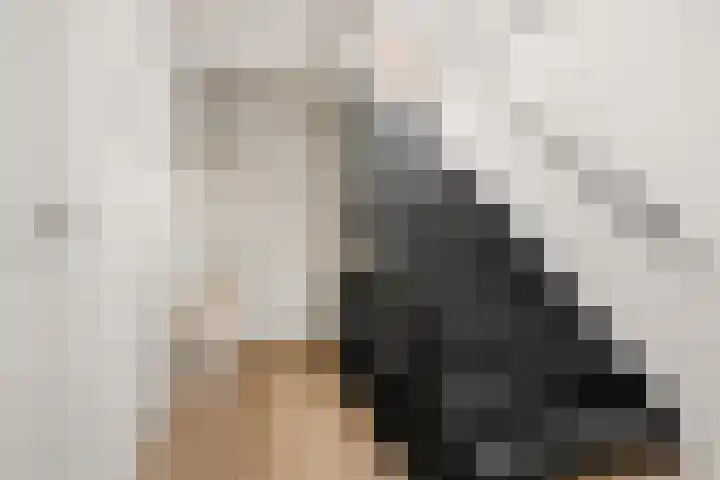 Da Costakade 29 4 Amsterdam thumbnail 14