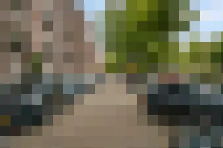 Da Costakade 29 4 Amsterdam thumbnail 32