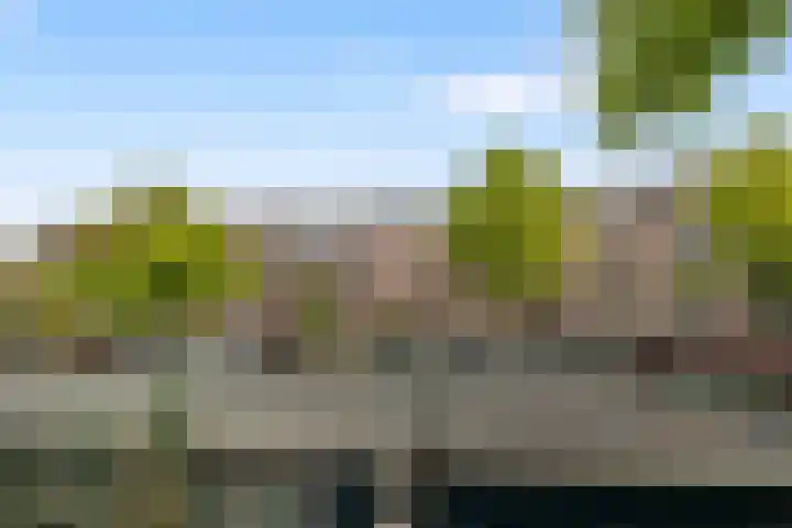 Da Costakade 29 4 Amsterdam thumbnail 33