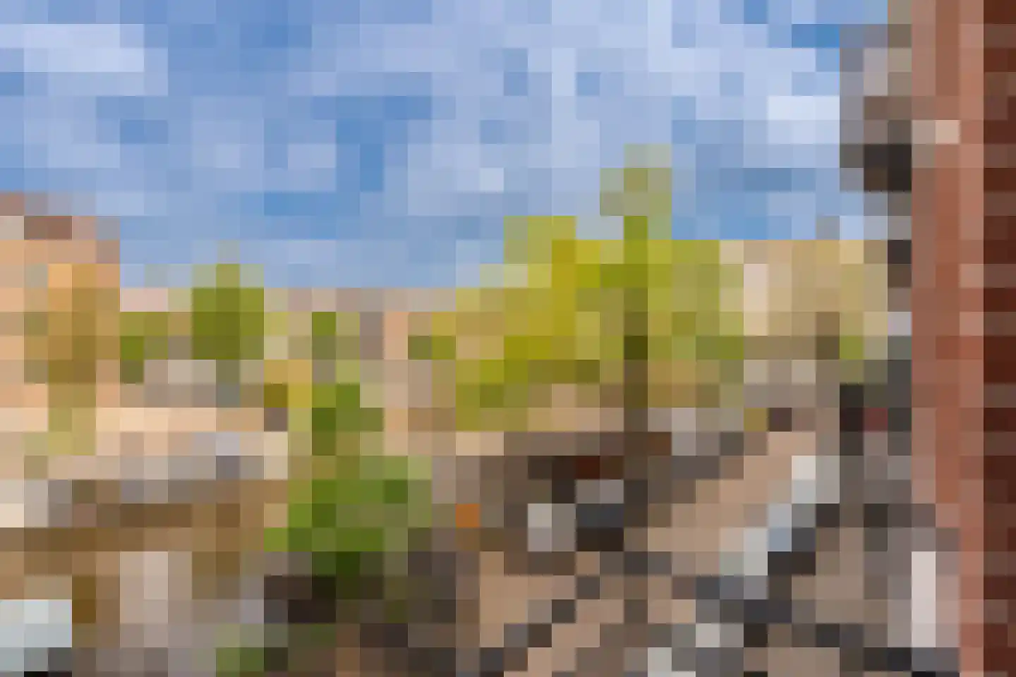 Da Costakade 31 1 Amsterdam thumbnail 13