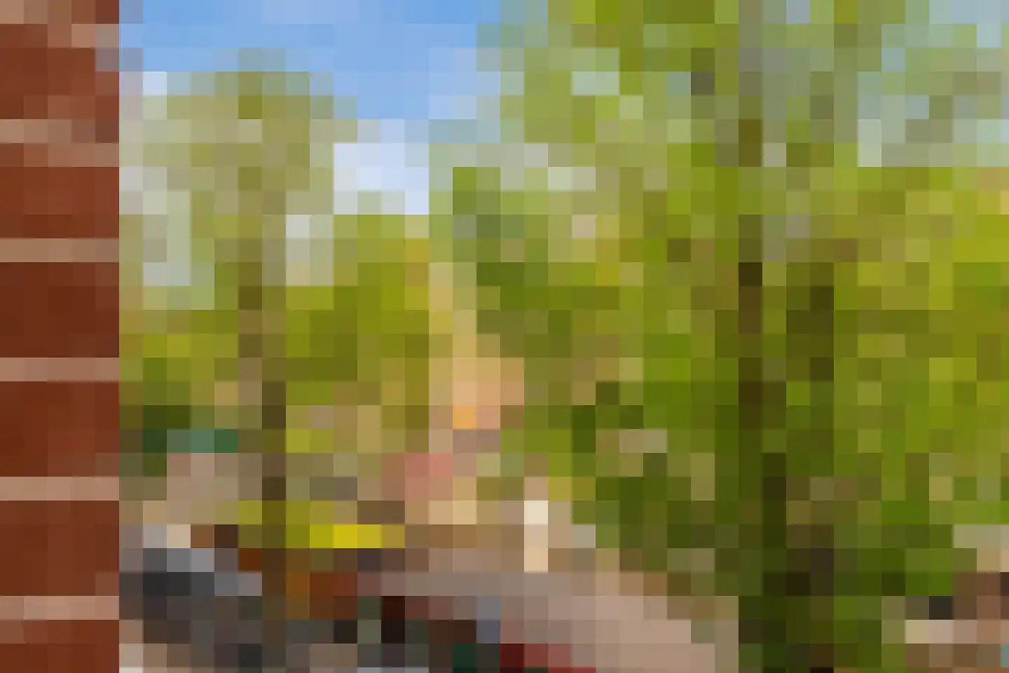 Da Costakade 31 1 Amsterdam thumbnail 17