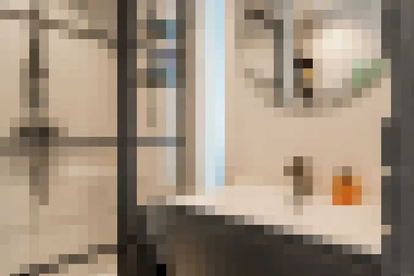 Da Costakade 31 1 Amsterdam thumbnail 26