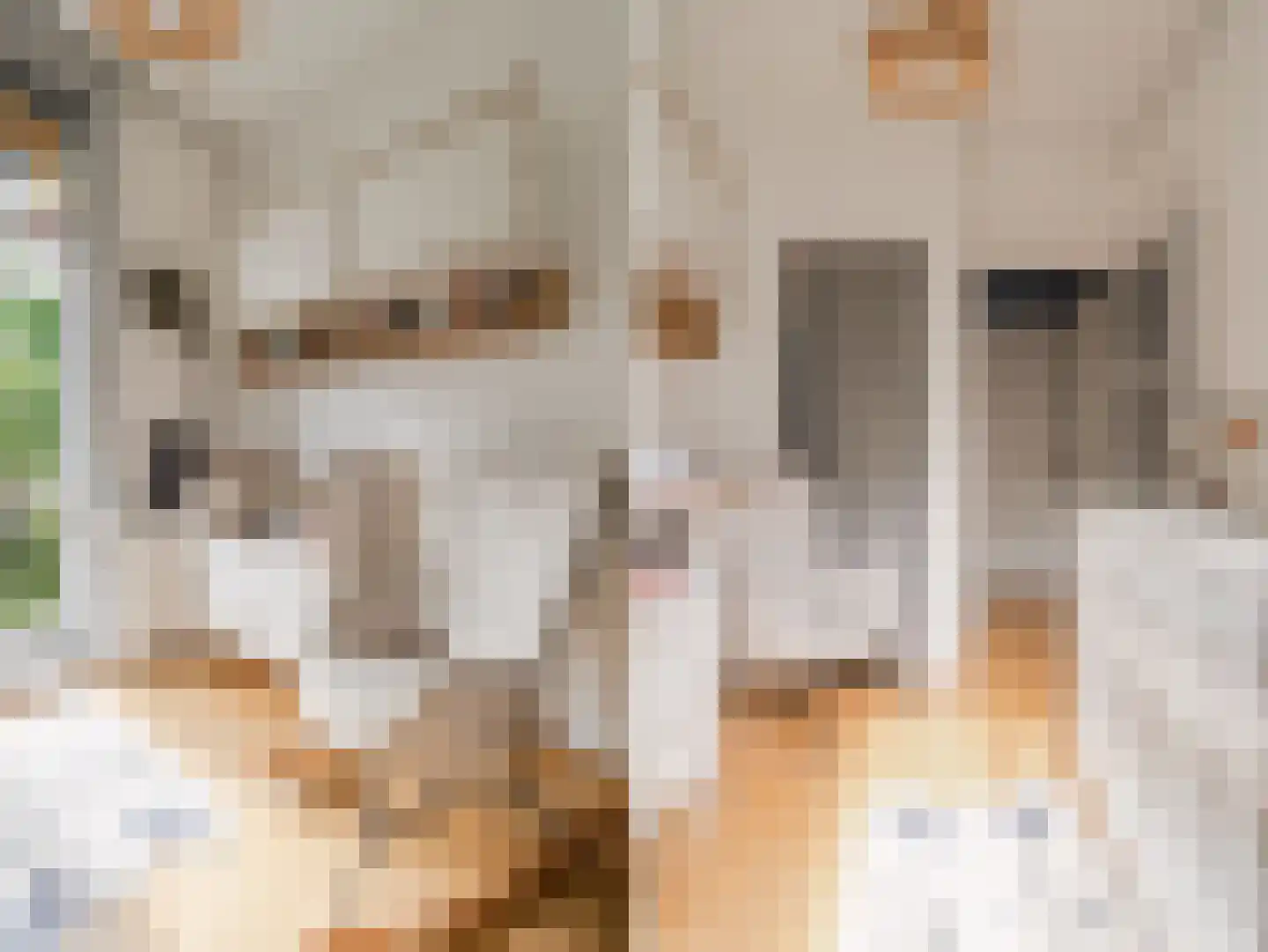 Da Costakade 31 1 Amsterdam thumbnail 42