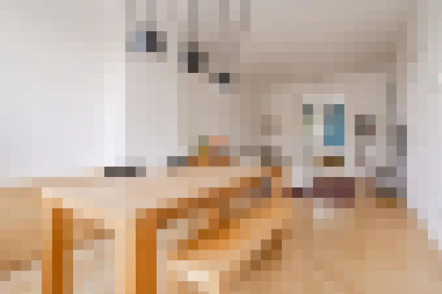 Da Costakade 31 1 Amsterdam thumbnail 8