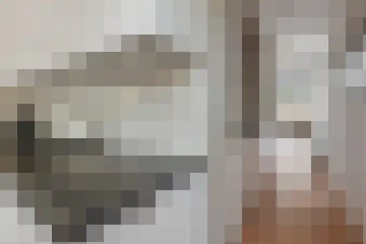 Da Costakade 312 Amsterdam thumbnail 15