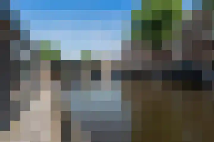 Da Costakade 312 Amsterdam thumbnail 28