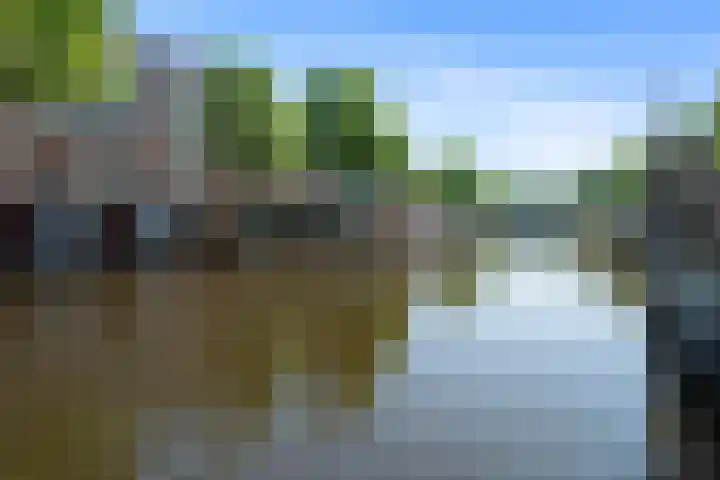 Da Costakade 312 Amsterdam thumbnail 5