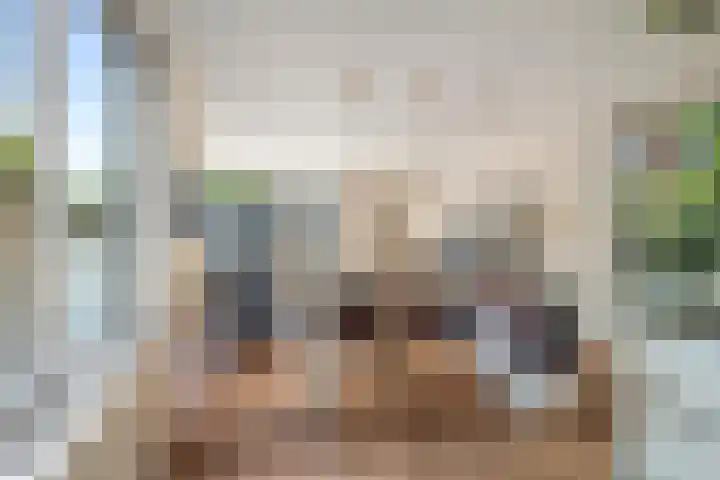 Da Costakade 312 Amsterdam thumbnail 8