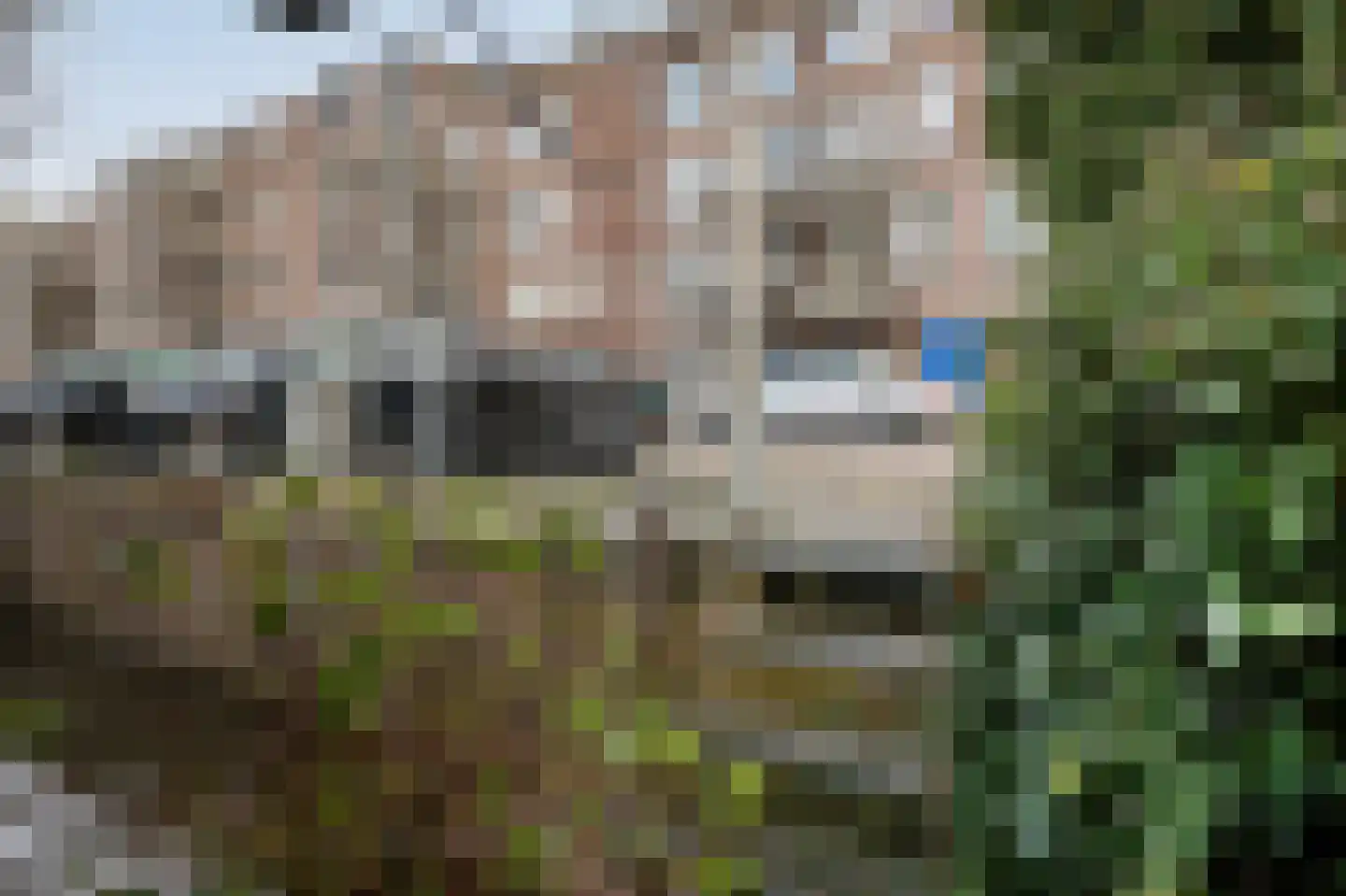 Da Costakade 359 Amsterdam thumbnail 23