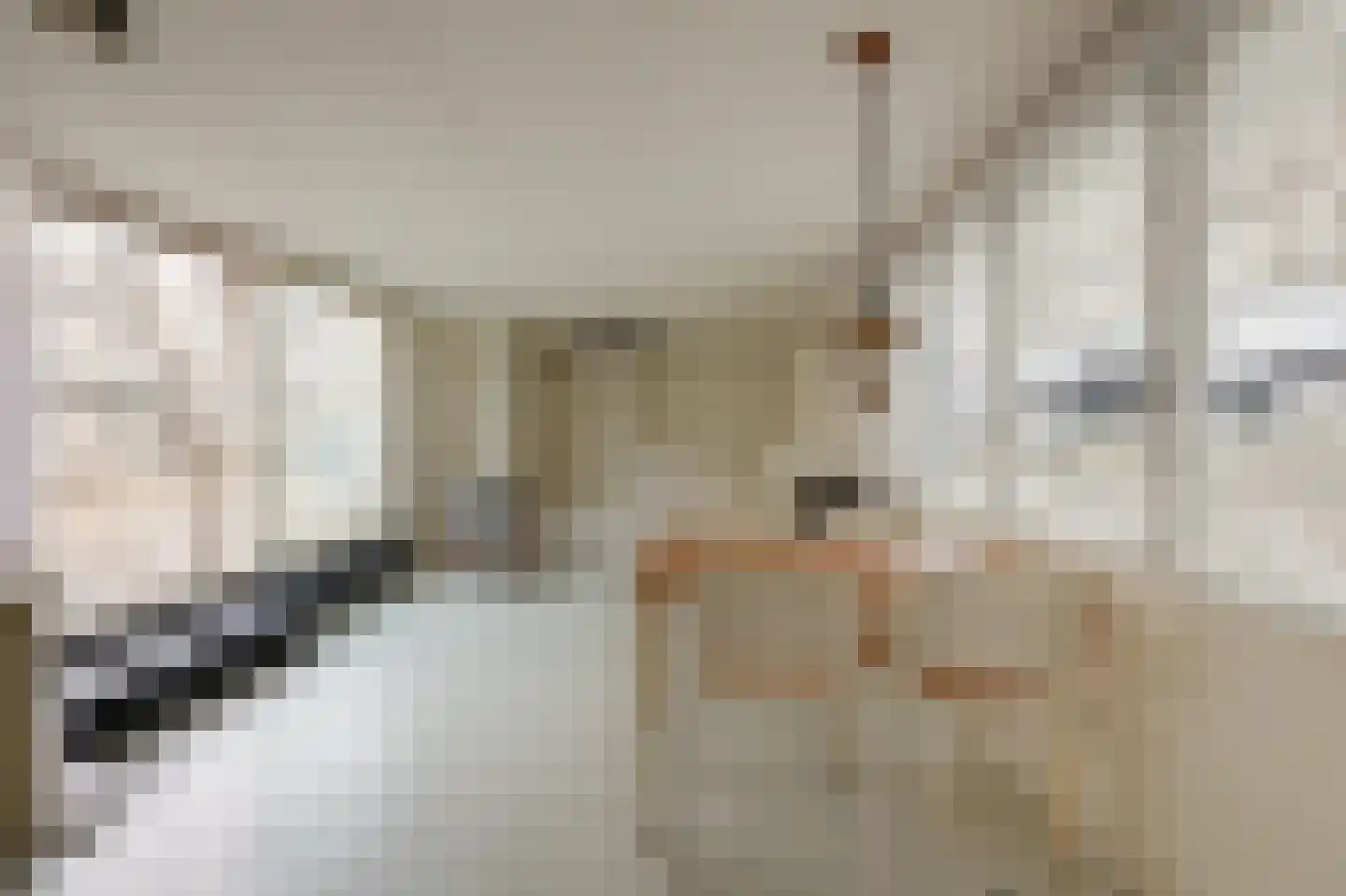 Da Costakade 359 Amsterdam thumbnail 6