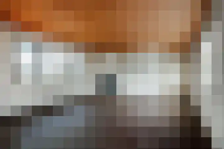 Da Costakade 362 Amsterdam thumbnail 4