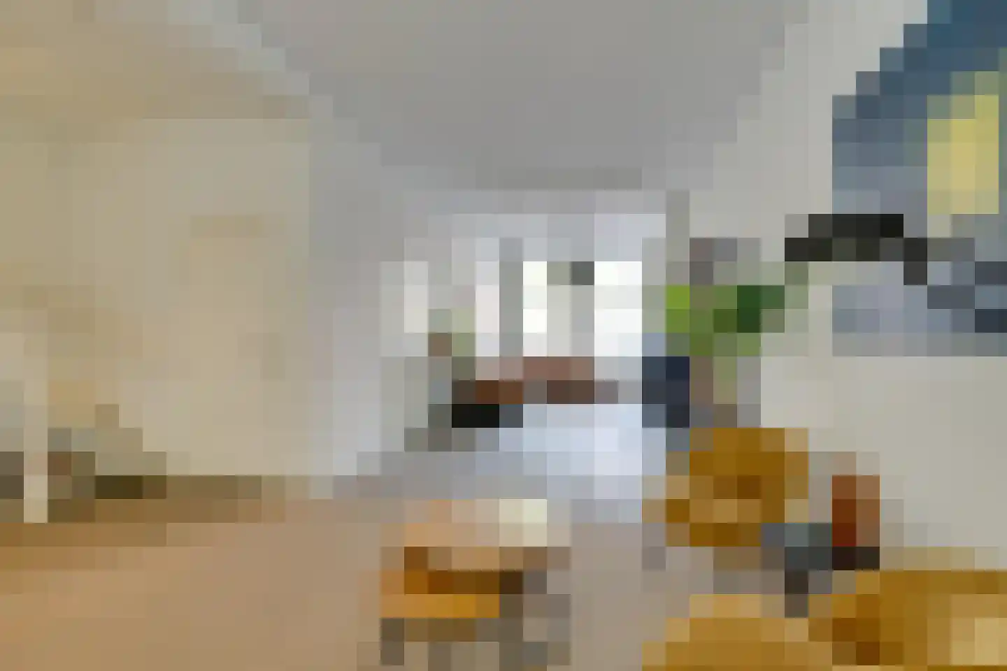 Da Costakade 37 H Amsterdam thumbnail 13