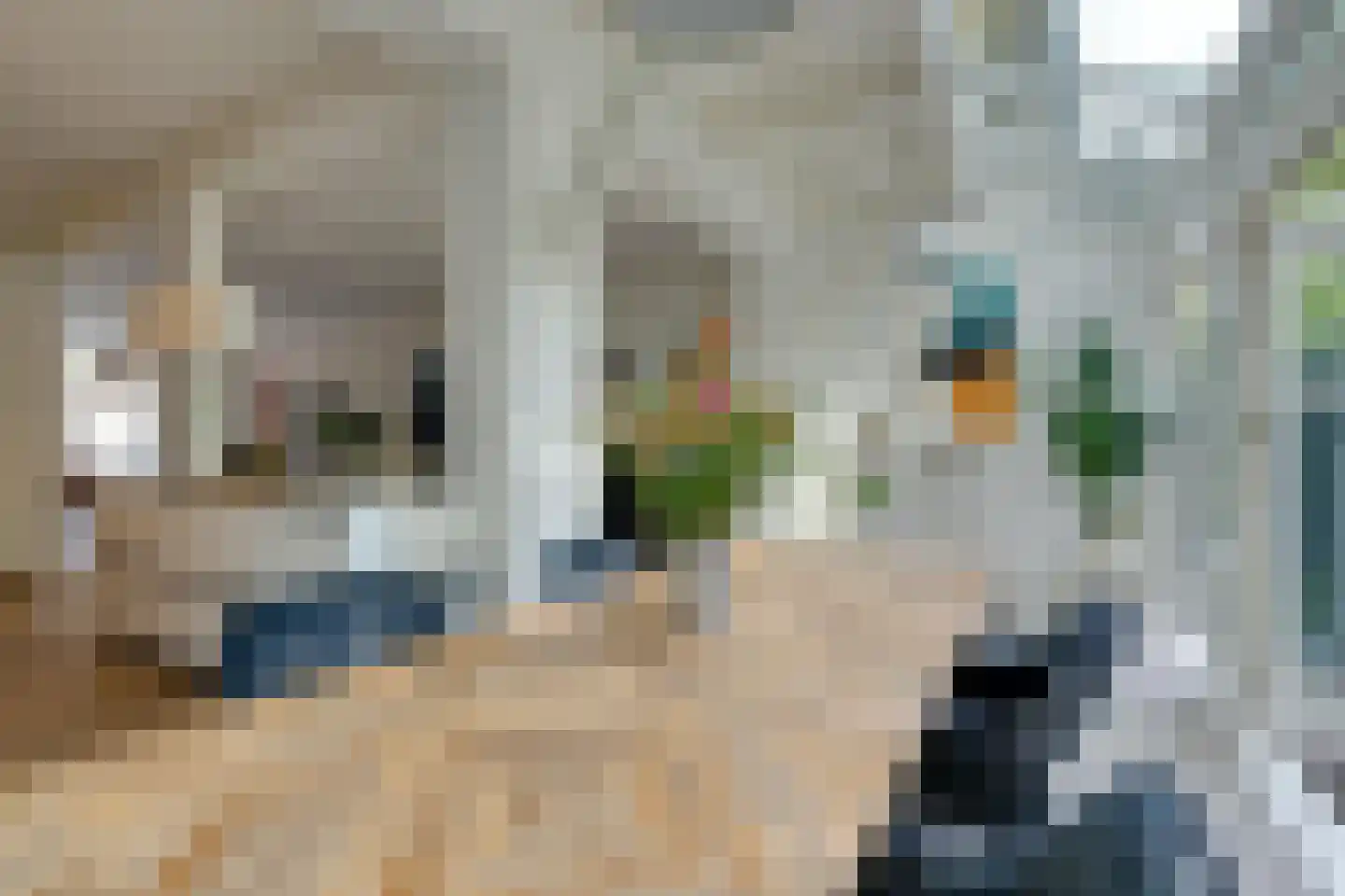Da Costakade 37 H Amsterdam thumbnail 20