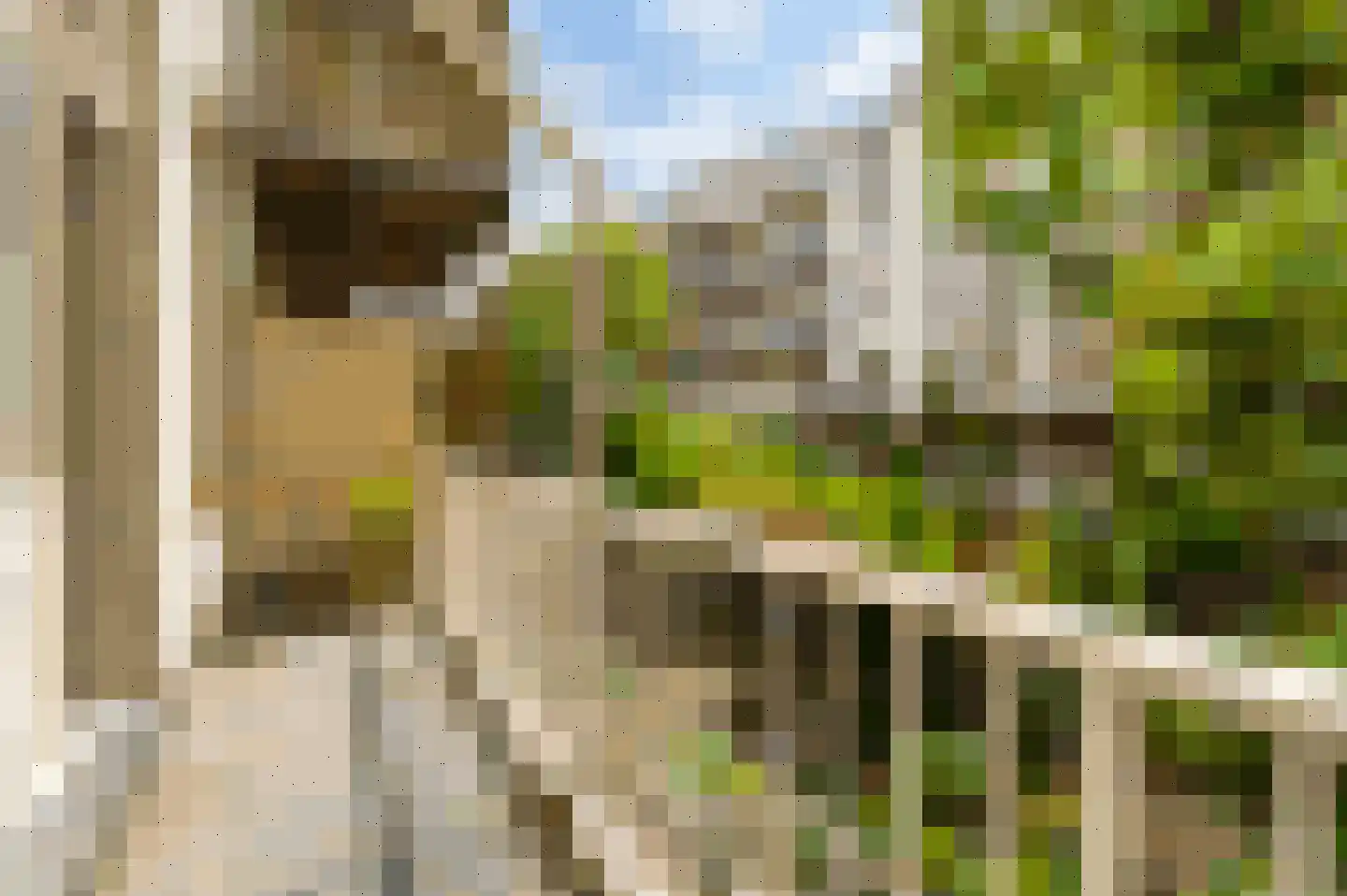 Da Costakade 37 H Amsterdam thumbnail 33