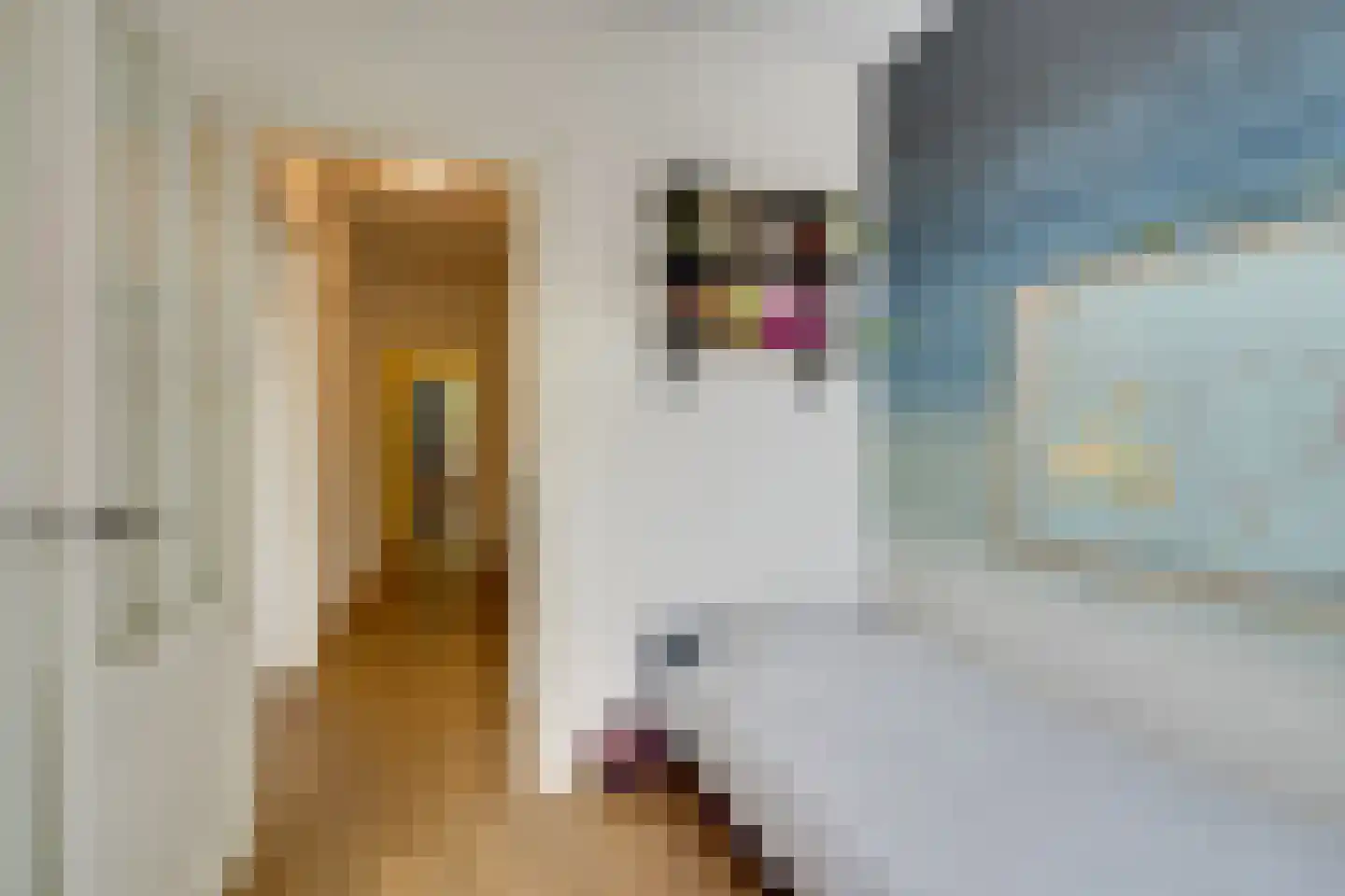 Da Costakade 37 H Amsterdam thumbnail 41