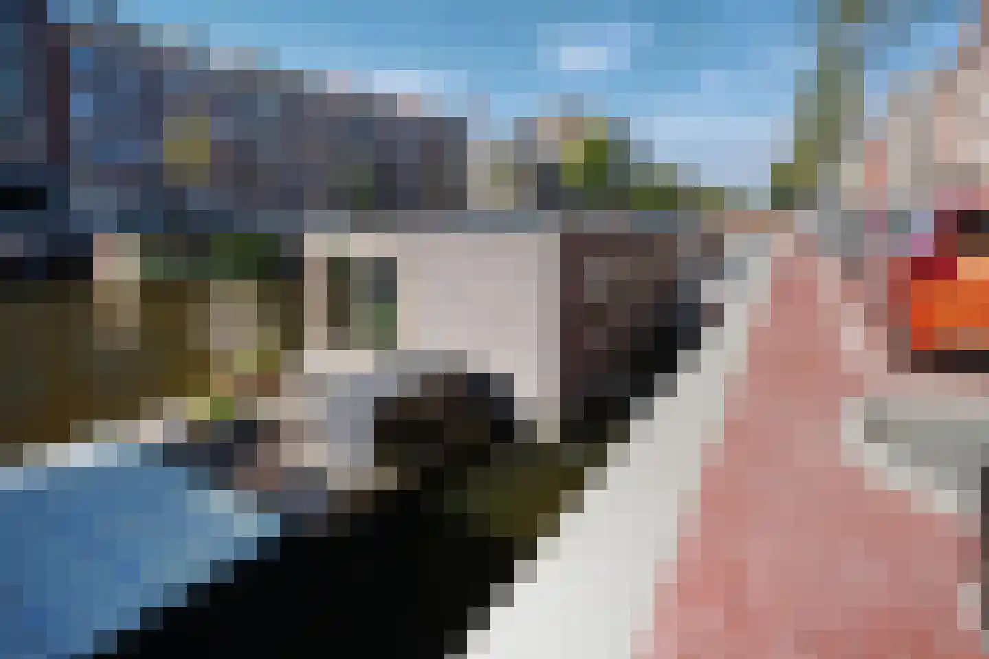 Da Costakade 371 Amsterdam thumbnail 33