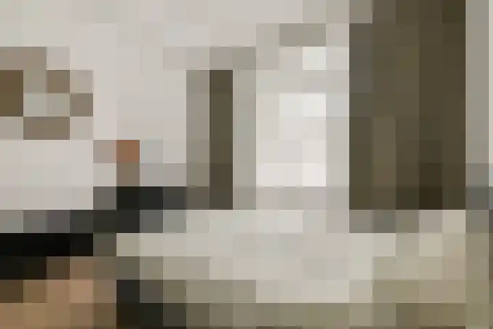 Da Costakade 43 2 Amsterdam thumbnail 15