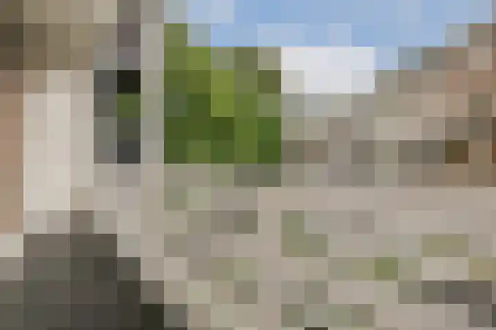 Da Costakade 43 2 Amsterdam thumbnail 16