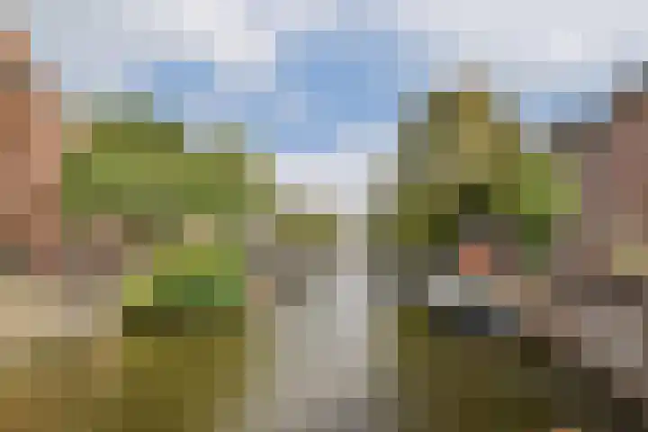 Da Costakade 43 2 Amsterdam thumbnail 25