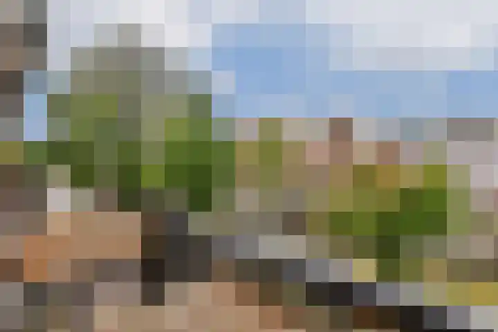 Da Costakade 43 2 Amsterdam thumbnail 4