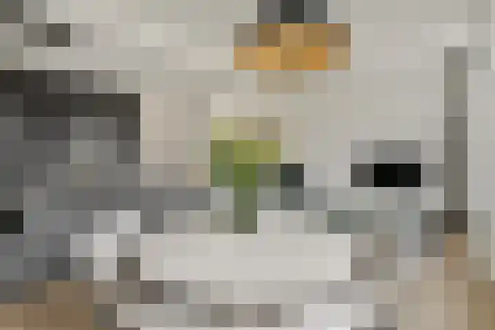 Da Costakade 43 2 Amsterdam thumbnail 6