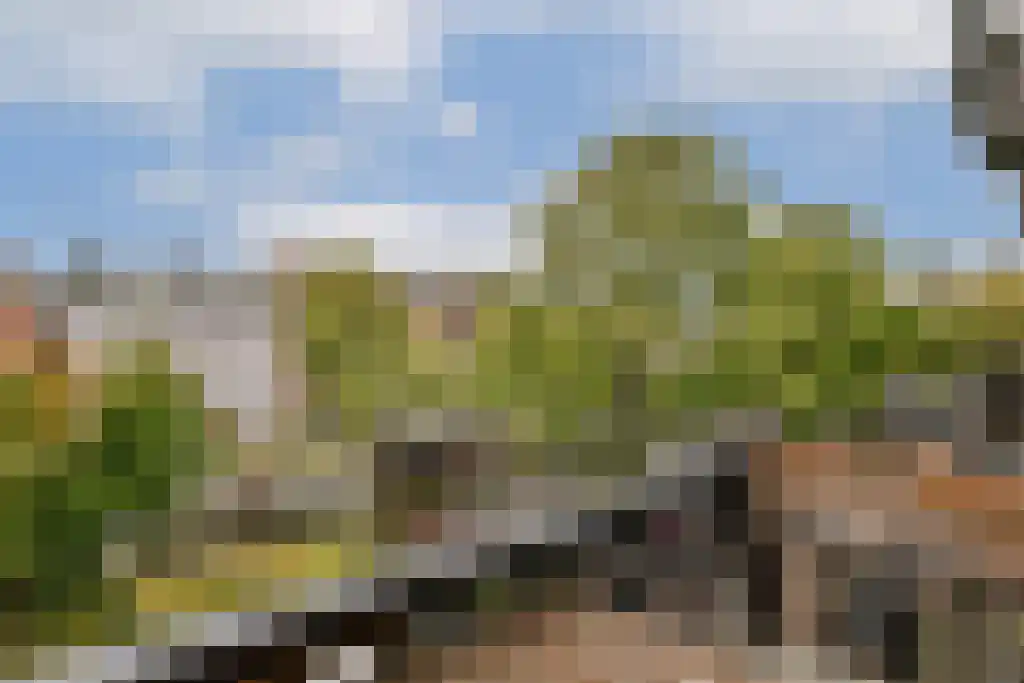 Da Costakade 43 3 Amsterdam thumbnail 4
