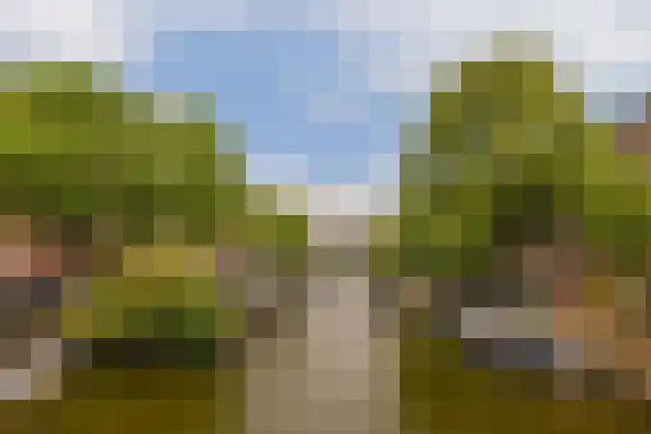 Da Costakade 43 4A Amsterdam thumbnail 23