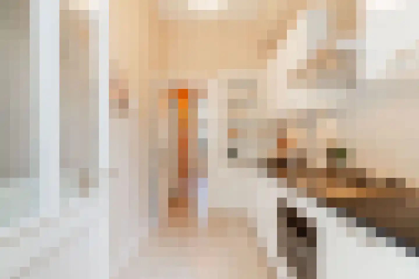 Da Costakade 45 H Amsterdam thumbnail 19