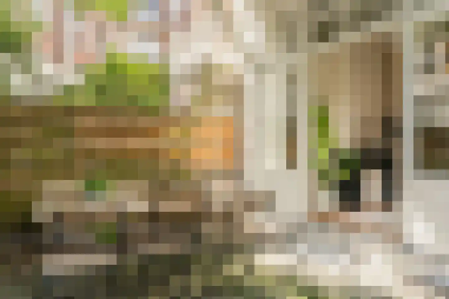Da Costakade 45 H Amsterdam thumbnail 33