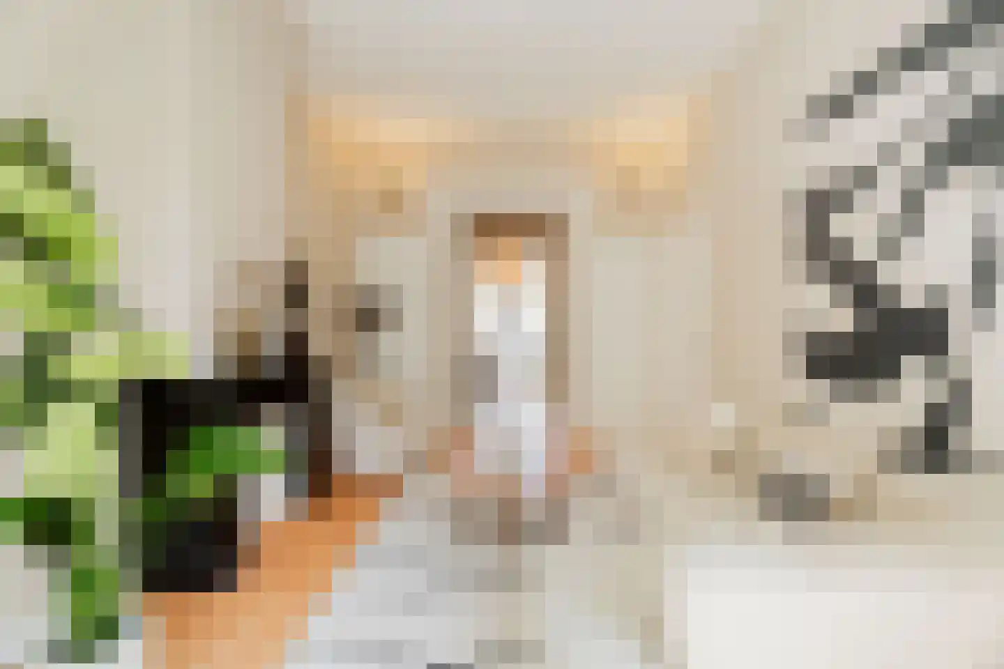 Da Costakade 45 H Amsterdam thumbnail 4
