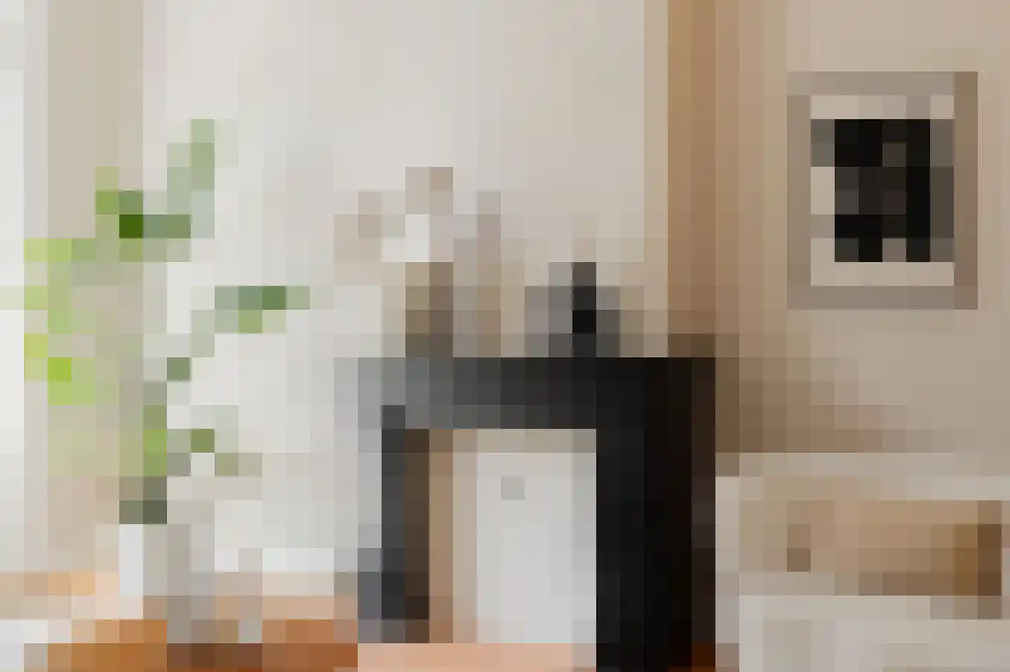 Da Costakade 45 H Amsterdam thumbnail 8