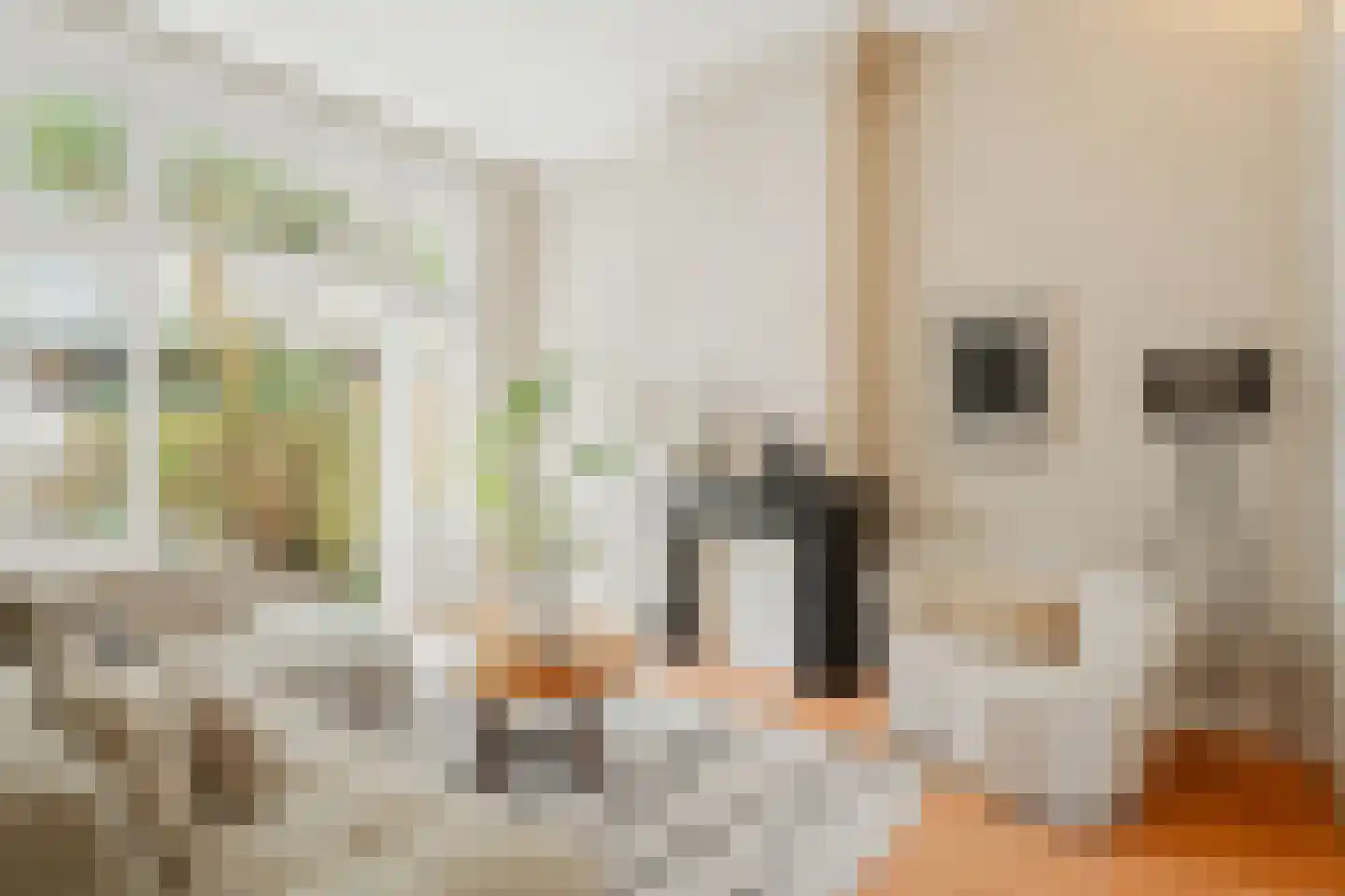Da Costakade 45 H Amsterdam thumbnail 8