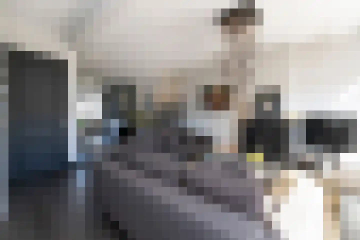 Da Costakade 46 2 Amsterdam thumbnail 11